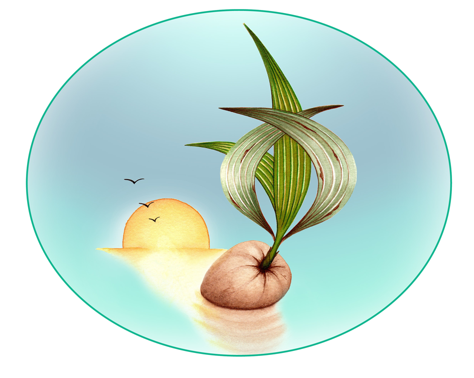 Logo bioléanes coco dessin